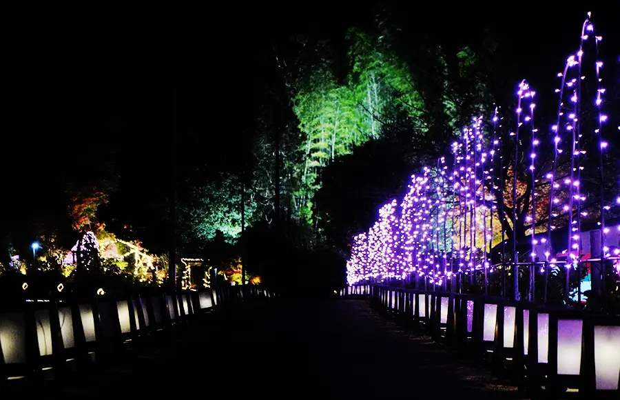 100mの絵行灯の道