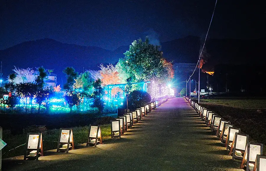 100mの絵行灯の道