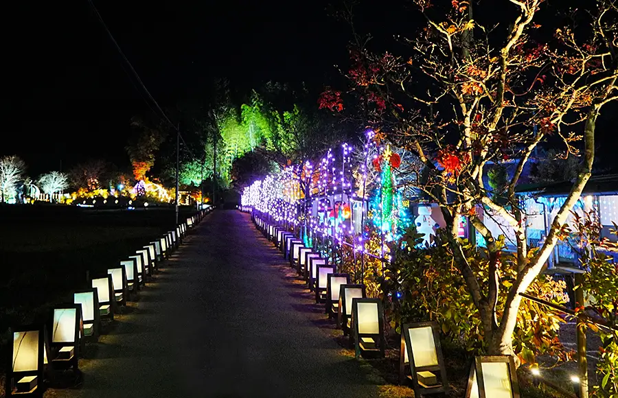 100mの絵行灯の道