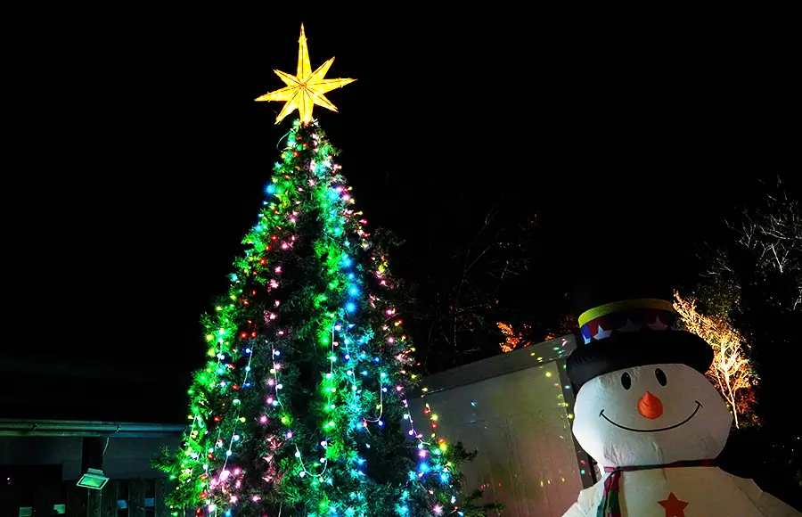 5ｍのクリスマスツリー