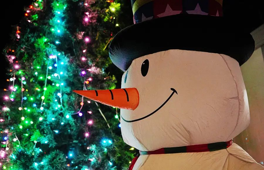 5ｍのクリスマスツリー