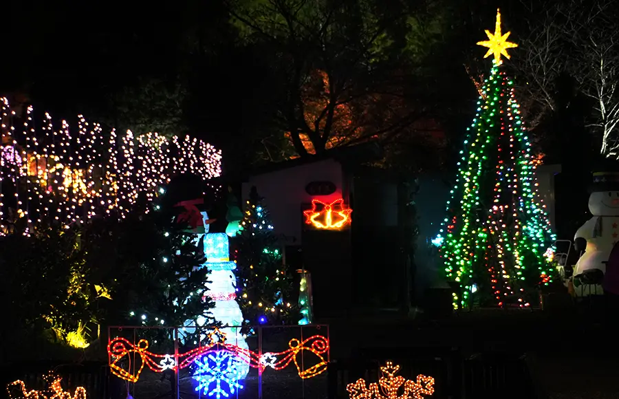 5ｍのクリスマスツリー