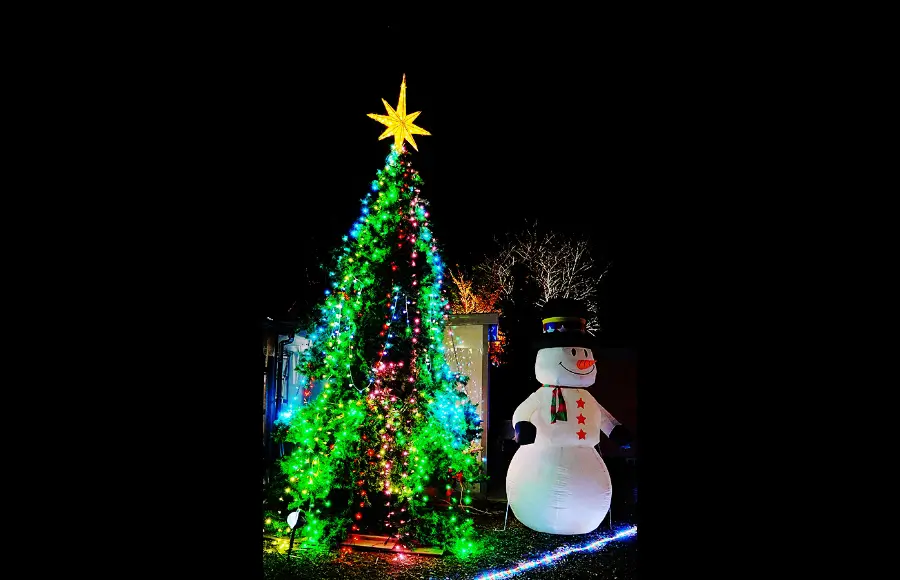 5ｍのクリスマスツリー