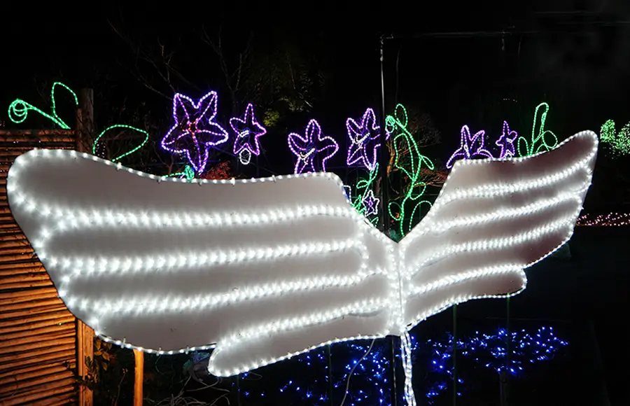 平安女学院コラボイルミネーション