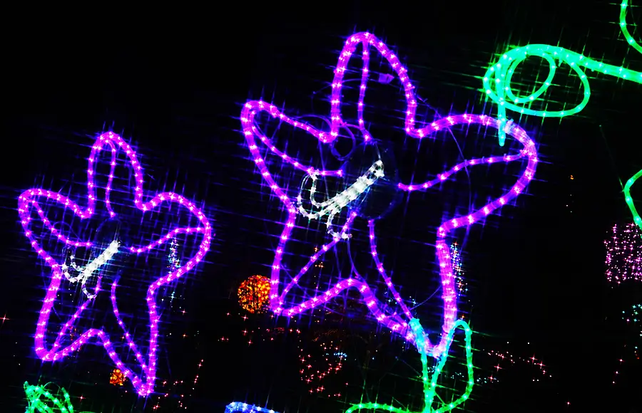 平安女学院コラボイルミネーション