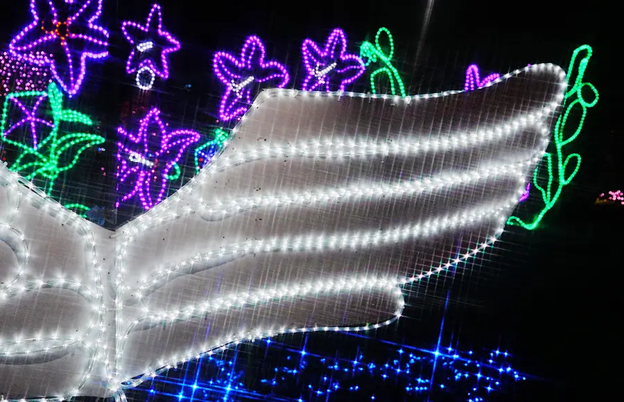 平安女学院コラボイルミネーション