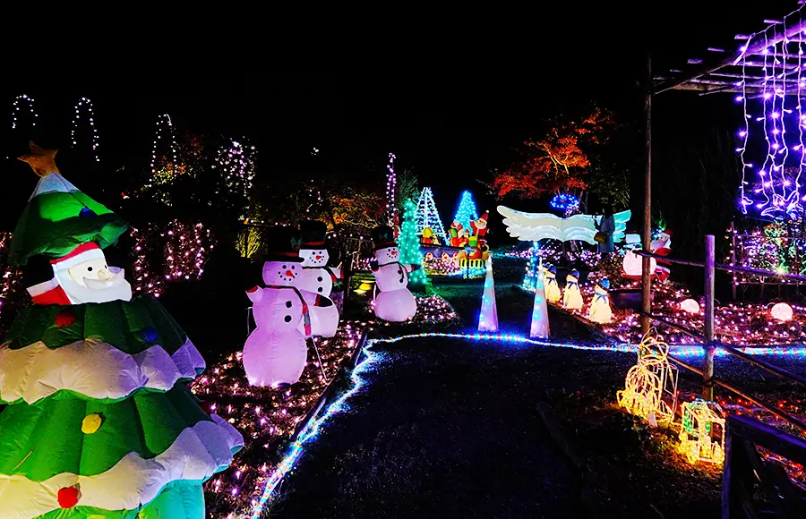 夢色イルミガーデン