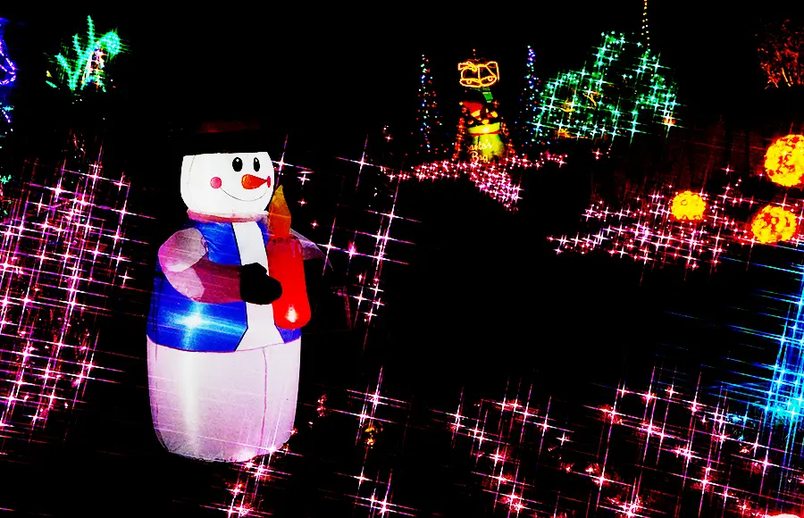 夢色イルミガーデン