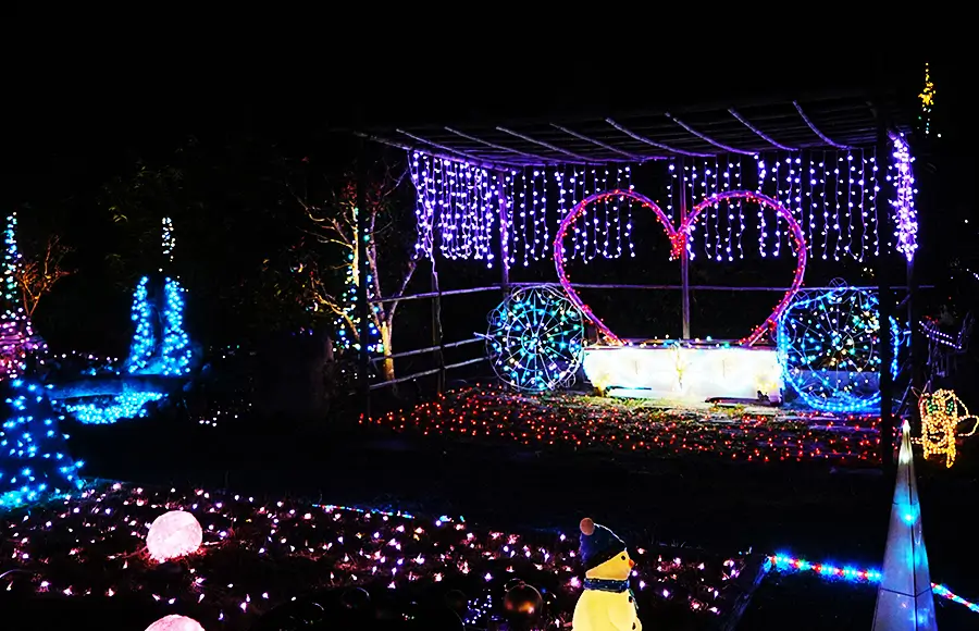 夢色イルミガーデン