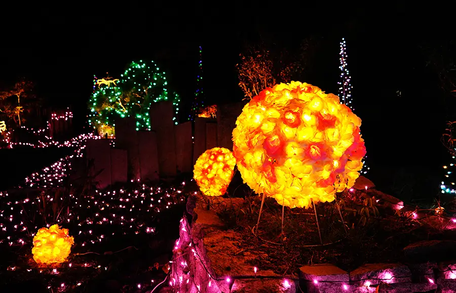 夢色イルミガーデン