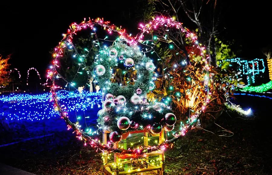 ききょう灯りの庭