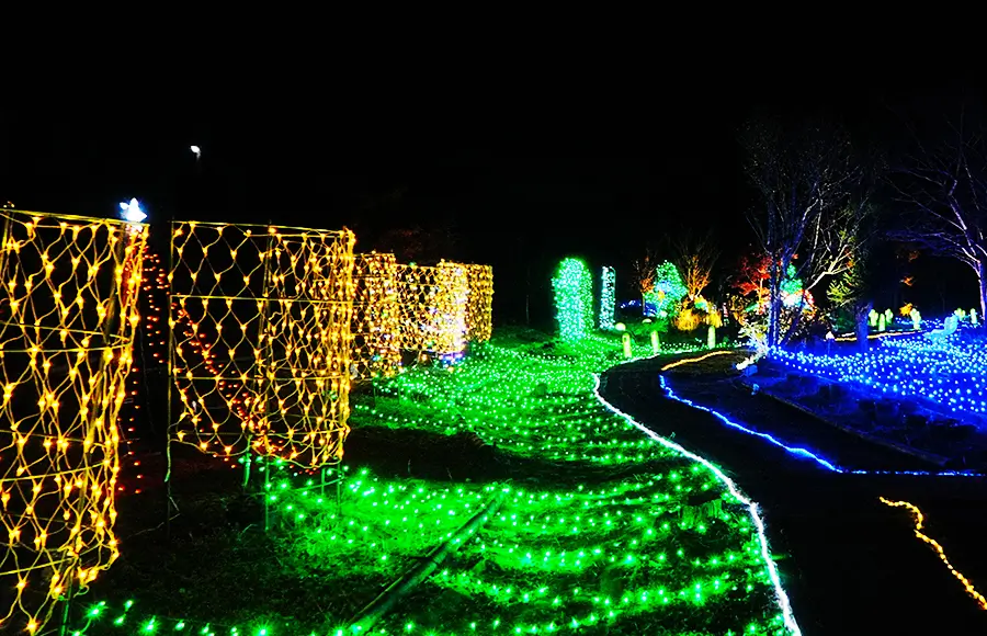 ききょう灯りの庭