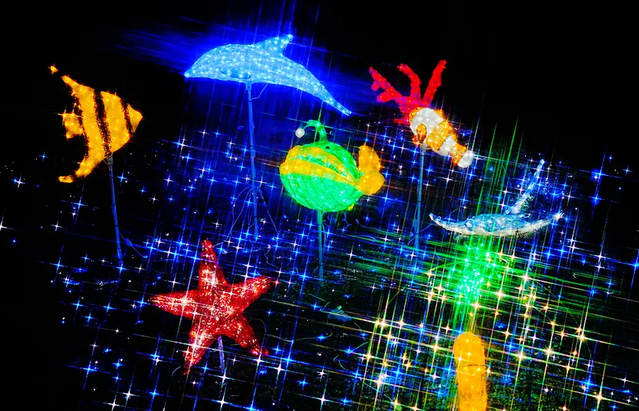 ききょう灯りの庭