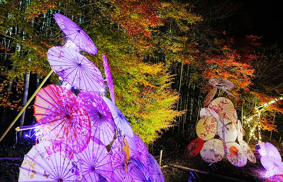 招福門「灯華和傘の社」