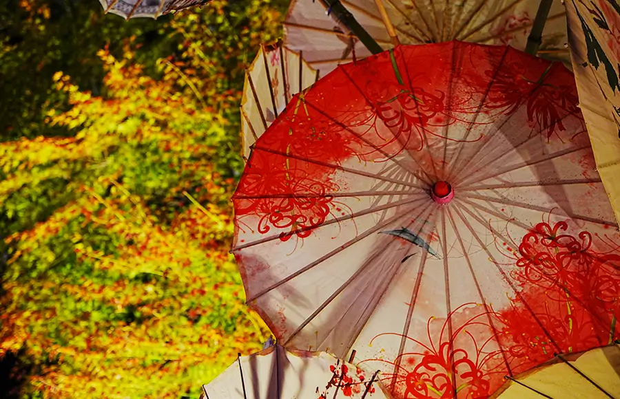 招福門「灯華和傘の社」