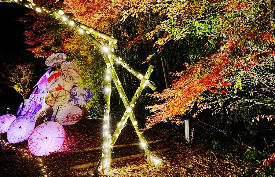 招福門「灯華和傘の社」