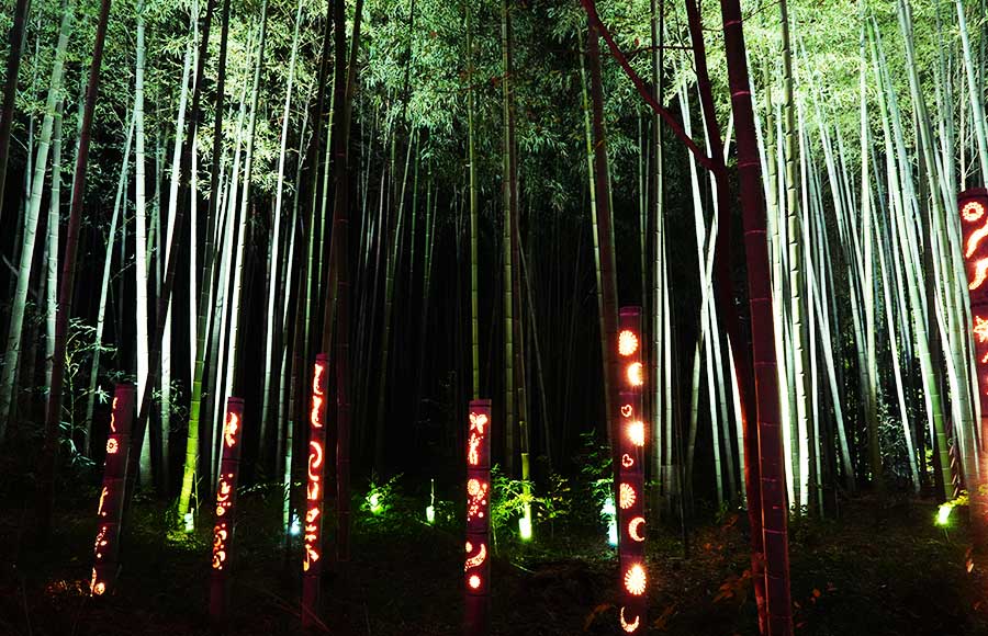 竹の国のライトアップ