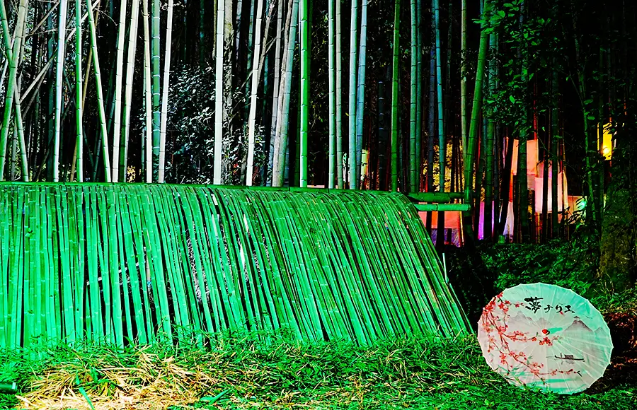 竹林「夢灯の竹回廊」