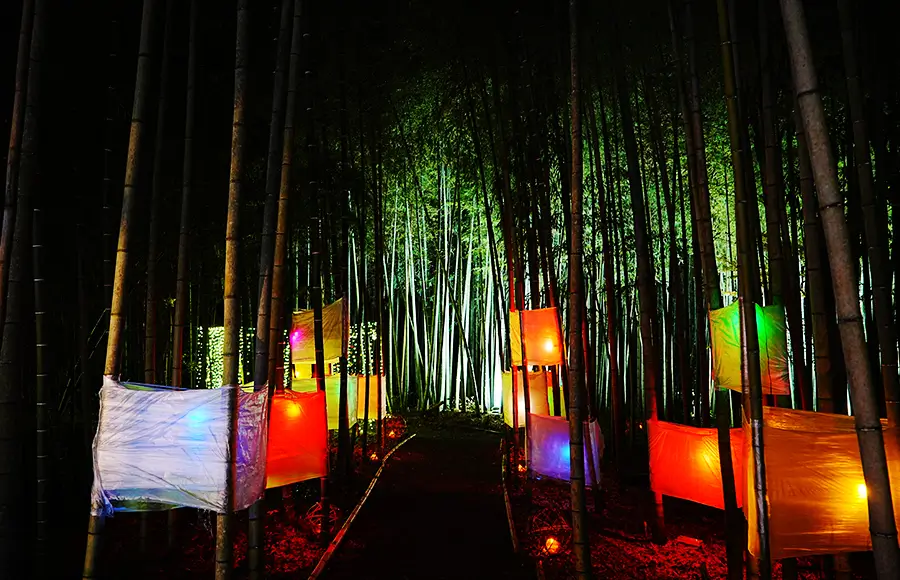 竹林「夢灯の竹回廊」