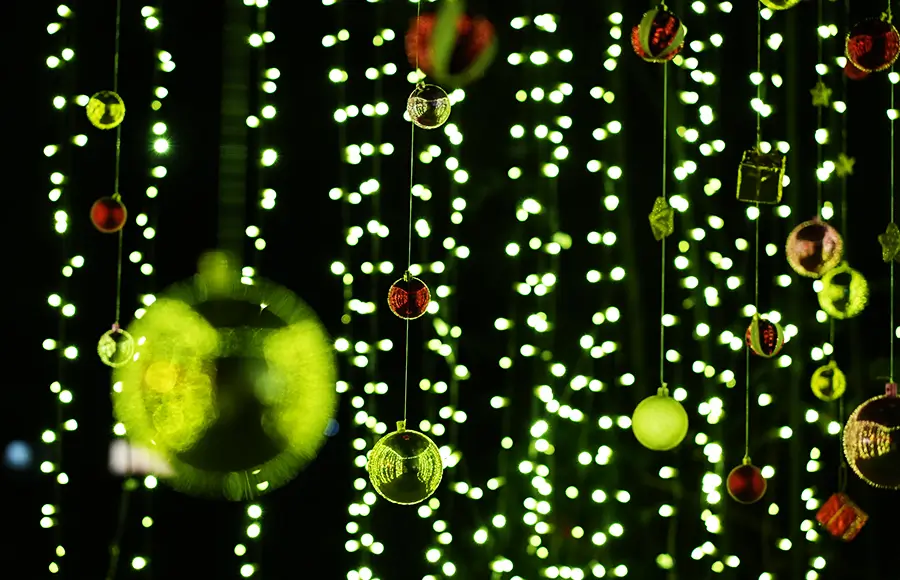 竹林「夢灯の竹回廊」