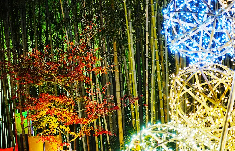 イルミネーションツリー