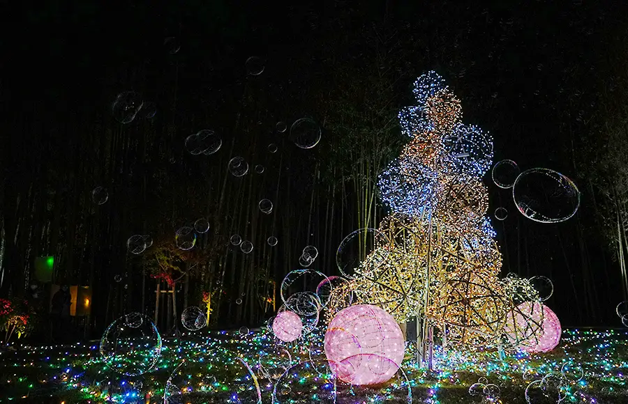 イルミネーションツリー