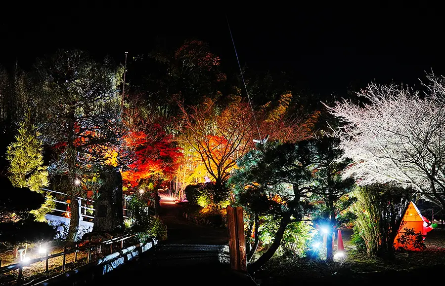 シャボン玉イベント会場
