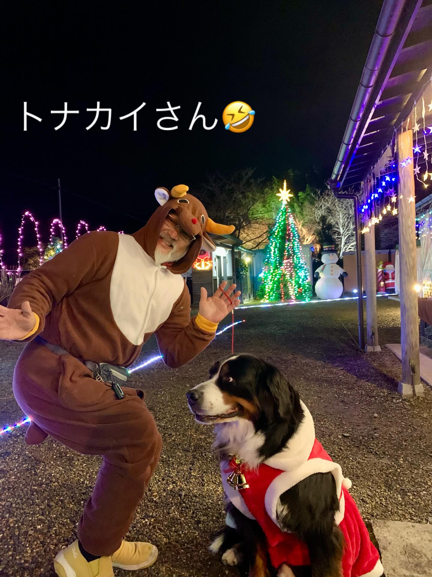 2025年の夢ナリエ 明日25日まで‼️ いろんなサンタクロースさんがやってきてますよ〜🎅🏻 なんと！ トナカイさんもお越しです！🤣 #京都丹波夢ナリエ 
