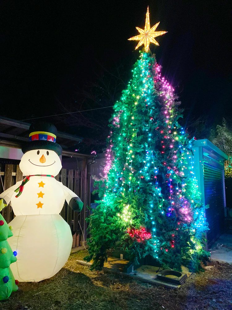 DJI_20241121_191536_863-w1200.webp