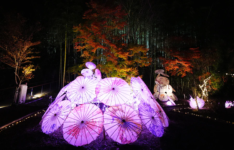 招福門 灯華和傘の社のご紹介｜京都丹波KAMEOKA 夢ナリエ