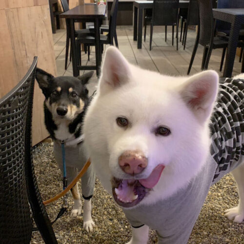 本日のワンショット！