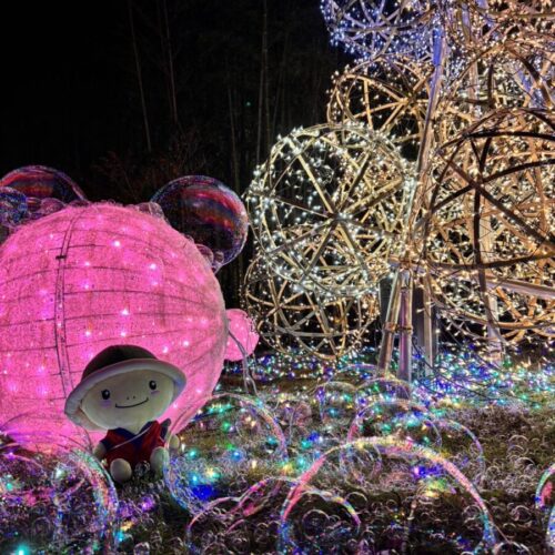 可愛いお客様が遊びにきてくれました♩