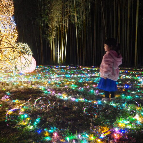 冬の夜はイルミネーション日和♩ぜひ夢ナリエへ♩