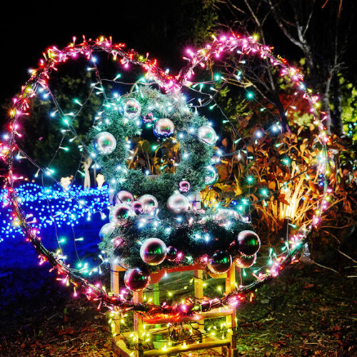 週末に向けて賑わって参ります🌲