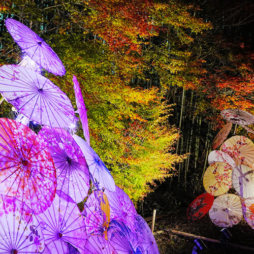 招福門 灯華和傘の社のご紹介